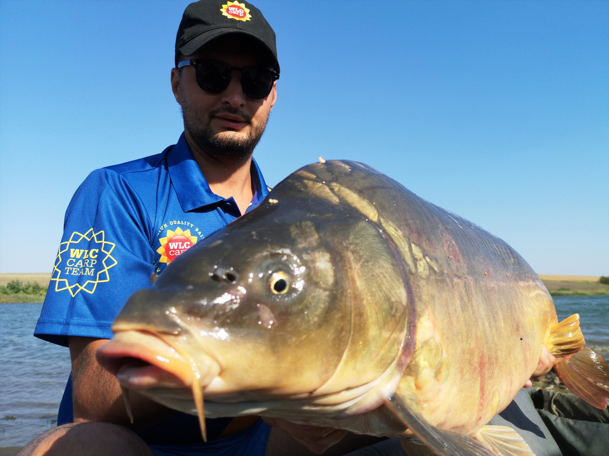 Sărulești - img20190824094508.jpg